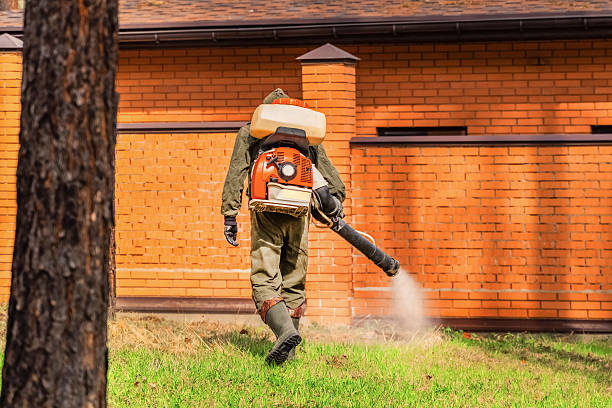 Trusted Bed Bug Control service in Ballard, UT - Nex Pest Control